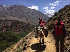 Vi gör en vandring i dalen och dricker te hemma i en berberfamilj (ingår).