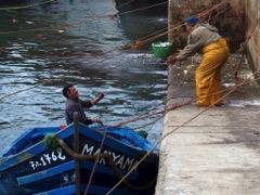 Vi andra kan njuta av nyfångad fisk och skaldjur på någon av krogarna i hamnen eller längs