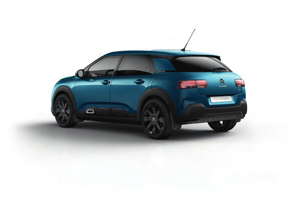 AC_C4 CACTUS_207_ACC_DERCOUV.