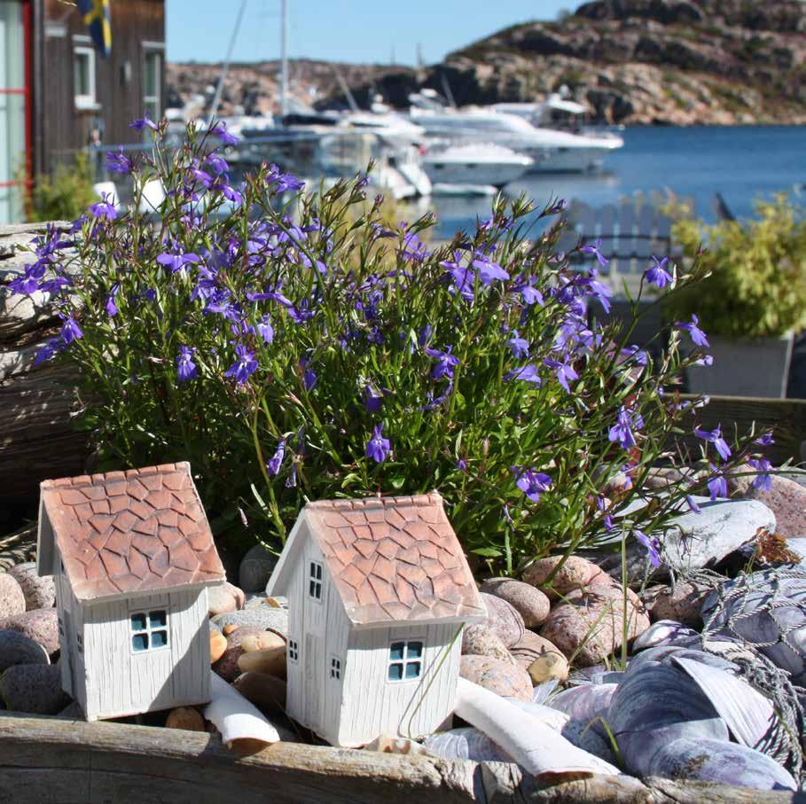 En bostadstidning för dig längs