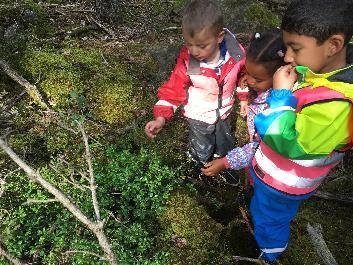 Denna gång var det många intressanta och roliga saker som hände, vissa planerade och andra mindre planerade Skogen 5-årsgruppen har i veckan besökt Jällaskogen.