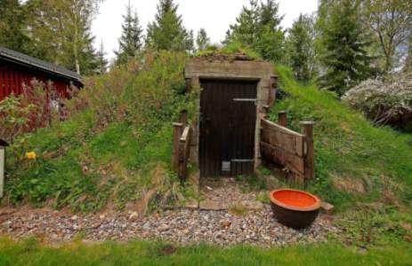 Inläggning i vatten. Ur Handbok för vardagsekologi. Låt vatten koka en kort stund. Låt det kallna. Rensa bären noga. Skölj, skala och skär rabarber i små bitar.