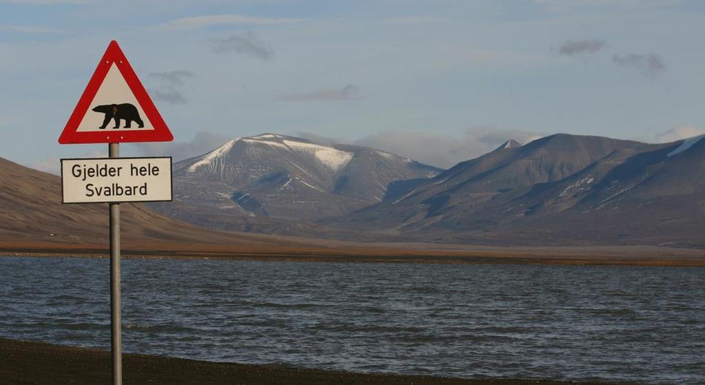SVALBARD EN ARKTISK PÄRLA Svalbard har med sitt polarklimat, sitt unika djurliv, sin vilda natur och sina gamla gruvor fascinerat resande i många år.