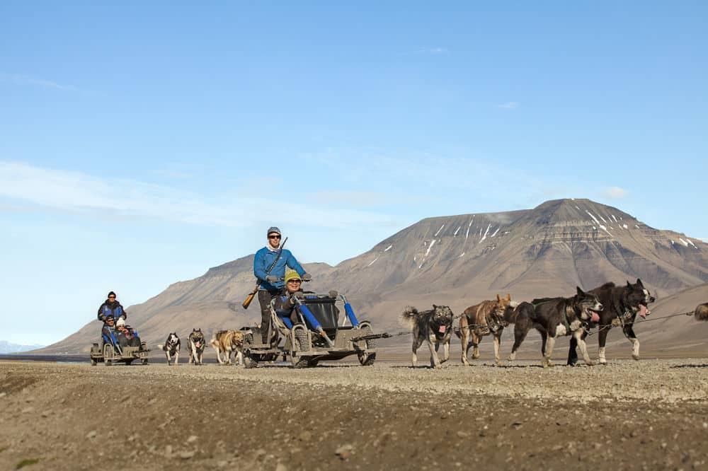 Hundslädtur på hjul i Adventdalen (1 250: per person). Ivriga polarhundar drar de lätta vagnarna med hjul, och du kan njuta av utsikten och uppleva djur och fåglar i Adventdalen på nära håll!