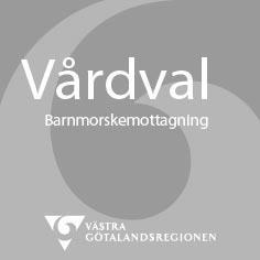 Projektansvarig: Leena Ekberg