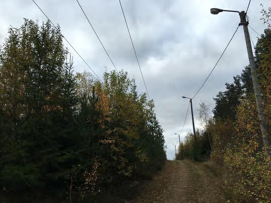 Kulturmiljö Inom 50 meter från befintlig ledning och alternativa sträckningar finns inga registrerade fornlämningar.