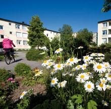 PÅ GÅNG Vår! Värmande sol, tulpaner och nyutslagna björkar. Energi! För oss innebär det en hel del arbete med yttre skötsel som att iordningställa rabatter, lekplatser och mycket annat.