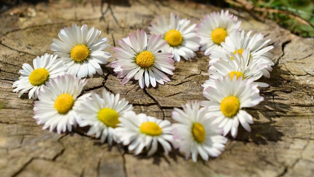Sommargudstjänster och andakter Till sommaren hör gudstjänster från sommarfester och kyrkliga evenemang runtom i Svenskfinland. Gudstjänsterna sänds kl. 13.03 i Yle Vega. 17.