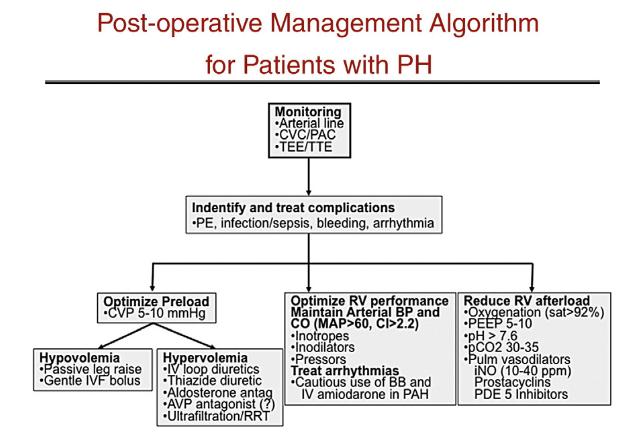 Postop algoritm D. McGlothlin et al.