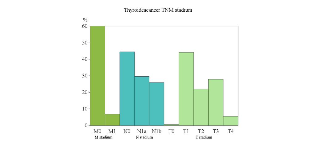 T1 tumörer utgör 44 % medan T4 tumörer utgör drygt 5 %.