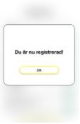 8 visar inloggningssidan där användaren skriver in sin mejladress och sitt lösenord. Fig. 9 visar ett fyllt inloggningsfält.