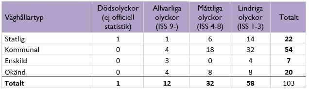 Statistiken kan vara ofullständig eftersom alla olyckor inte med säkerhet publiceras i strada samt att Piteå Älvdal Sjukhus inte har rättighet till rapportering (Transportstyrelsen, u.å.). 8.2.1.