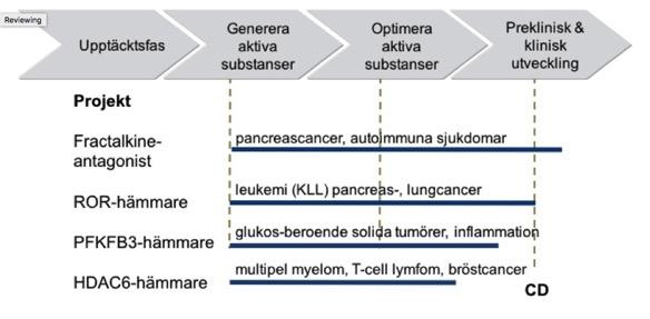 LÄKEMEDELSUTVECKLING Bolaget har fem läkemedelsprojekt i portföljen: Småmolekylära ROR-hämmare som omprogrammerar cancercellerna så att de destruerar sig själva.