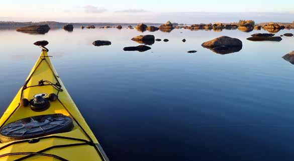 Åsnens nationalpark Riksdagen har nu tagit beslut om att bilda Åsnens nationalpark. Övärlden och lövrika skogar erbjuder många upplevelser.