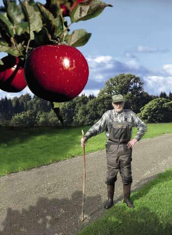 Ädelputsernas egenskaper handlar inte bara om materialet utan också om murarens redskap och arbetssätt. På 1920-talet fanns särskilda stålborstar för att borstrugga putsen.