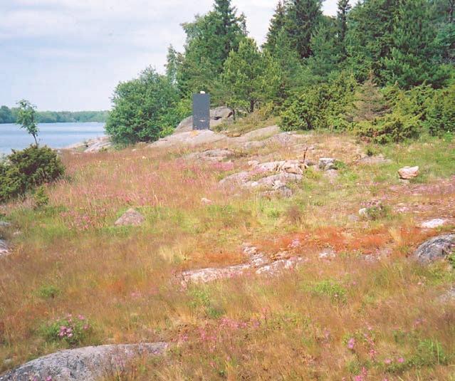 STIGHÄLL Växtplatsen för dvärglåsbräken på Idö utgörs av en torr strandäng med bland annat blodnäva, gräslök och tjärblomster.