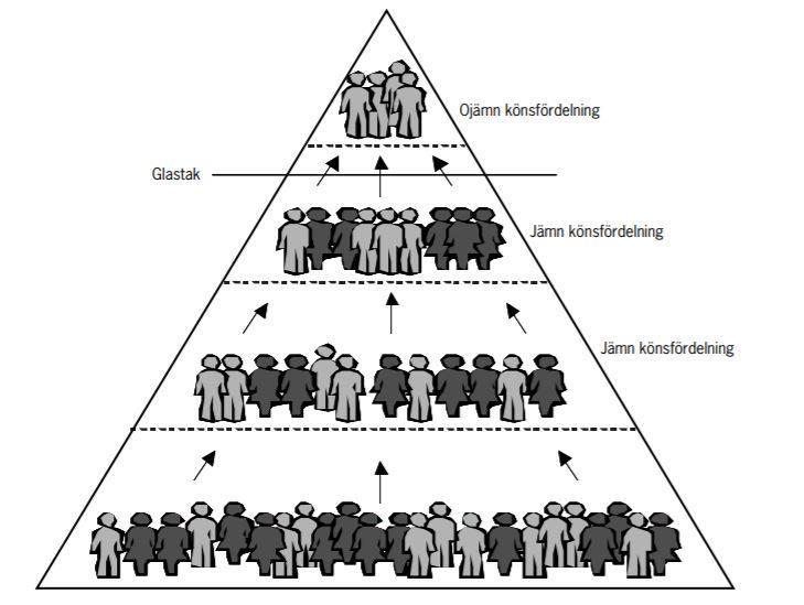 Figur 1: Illustration av glastaksmetaforen. Källa: Boschini (2004, s.