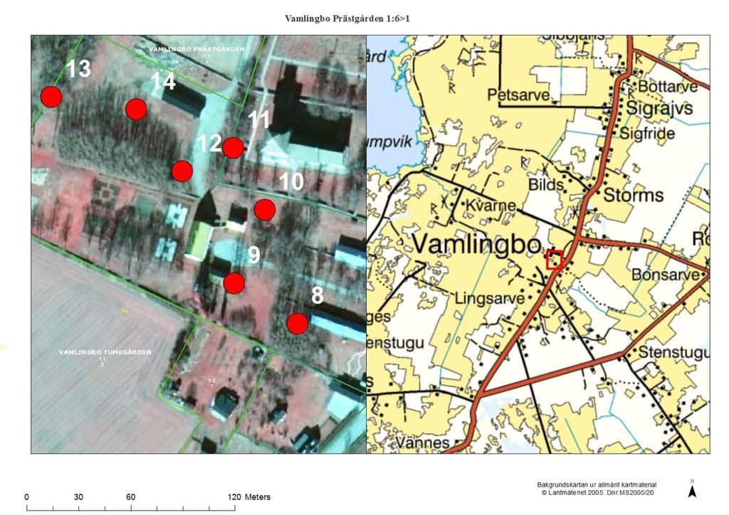 Fastighet Vamlingbo Prästgård Vaccination den 26/5-2014, 25/5 2015 samt 20/5 2016 8. GPS punkt nr 8, se karta (koordinat x 696345; y 6318554) Träd Nr: 014600-014670, 014698, 014699.