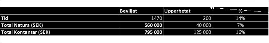 Bilaga 7a möte 170613 Programledningens kommentarer Projektet utvecklas enligt plan rapporterar projektledaren. Projektet har bara pågått i 2 månader ännu så allt är i tidigt skede.