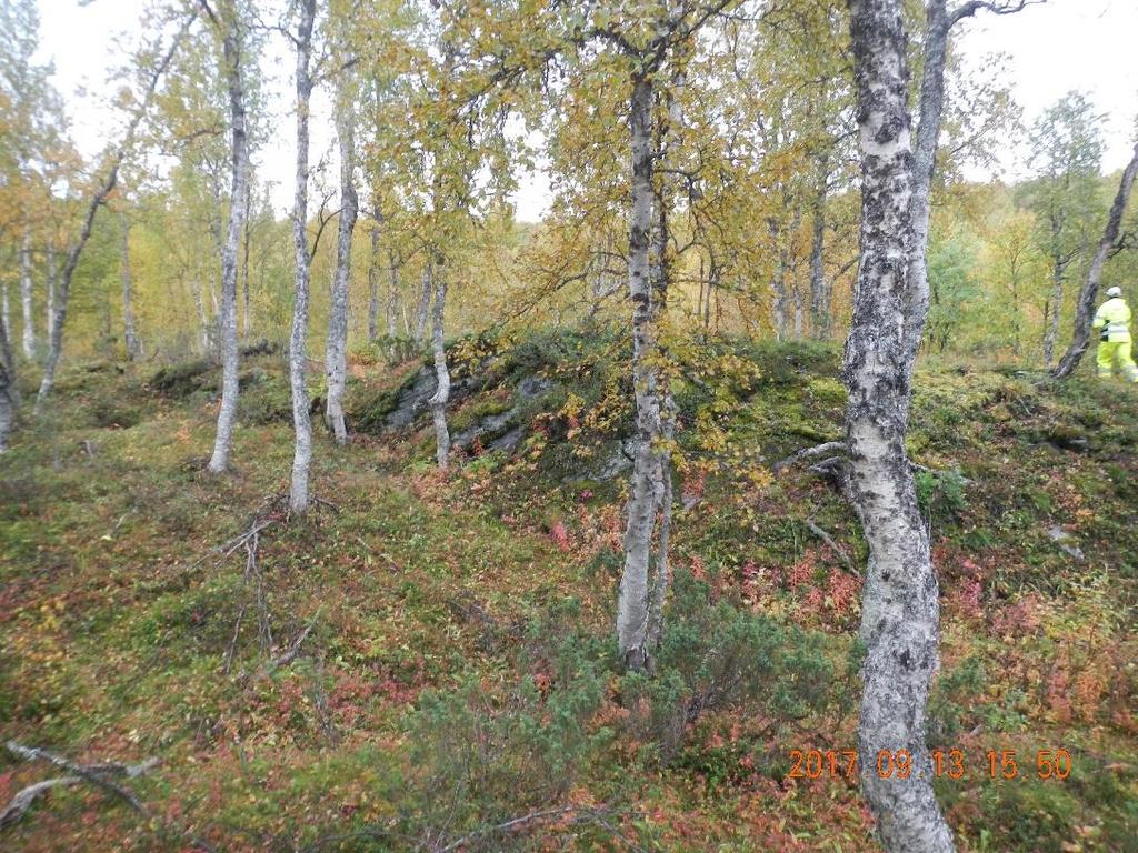 Berg i dagen syns på tomten.