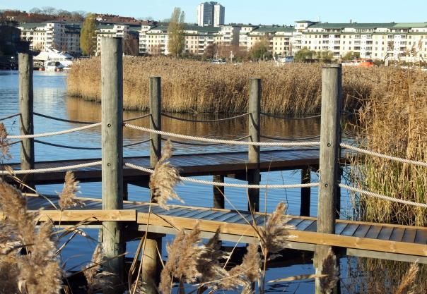 Innehåll Inledning Om sårbarhet och belastning Dina mål Minska risken för försämring Din