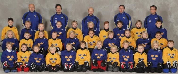 TKH Tre Kronors Hockeyskola ca 40 barn har provat TKH varav ca 35 barn och 9 ledare har deltagit regelbundet under säsongen.