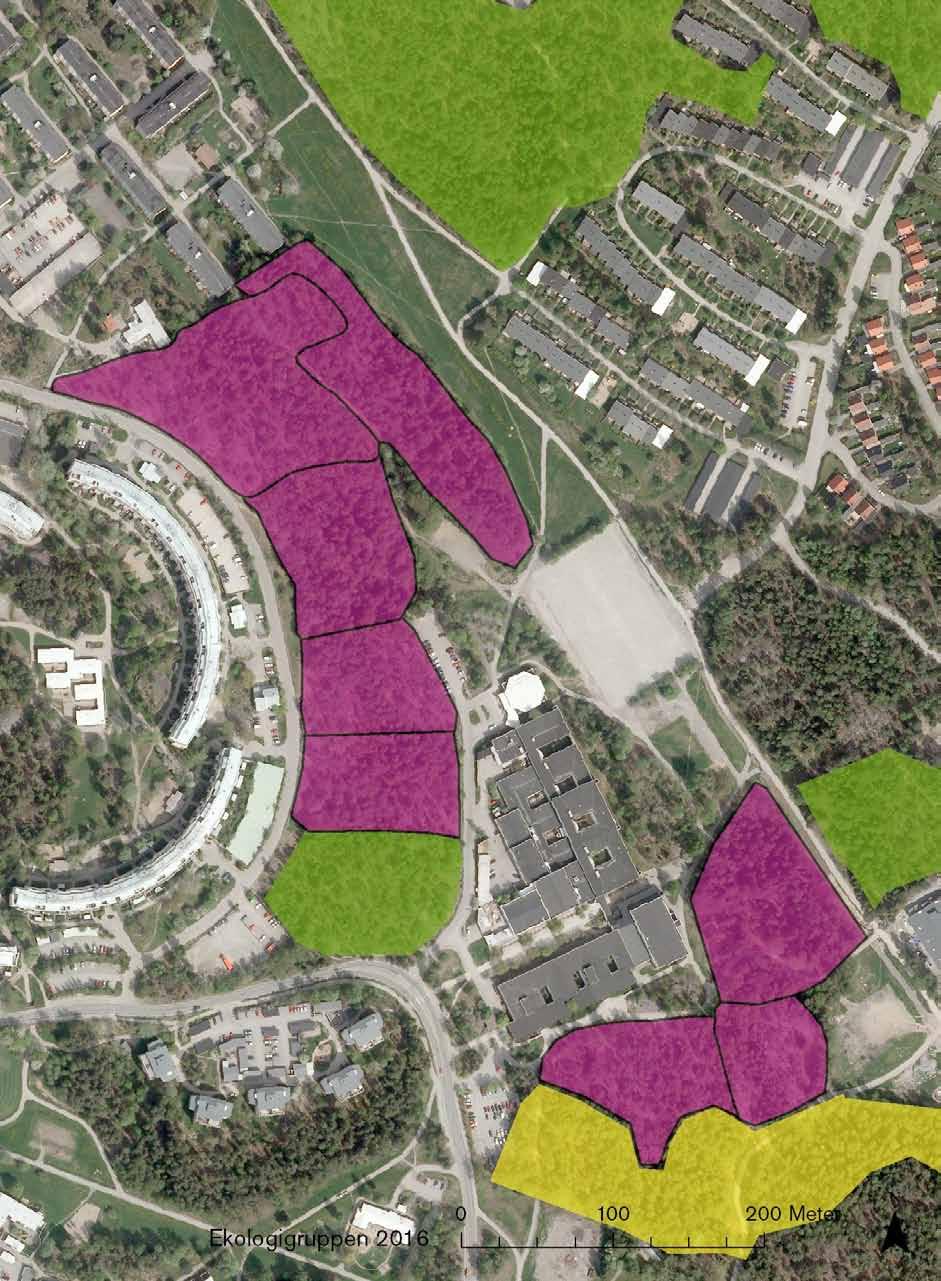 14_1 Klass 3, påtagligt naturvärde av kommunalt intresse Klass 4, visst naturvärde av lokalt intresse Naturmark 2. Hällmarkstallskog med grova tallar och en del död ved i form av lågor och torrakor.