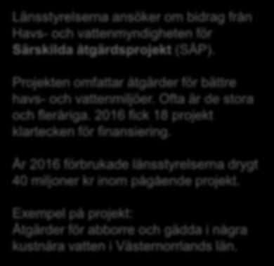 Stöd till miljöprojekt i hav och sötvatten Länsstyrelserna ansöker om bidrag från Havs- och vattenmyndigheten för Särskilda åtgärdsprojekt (SÅP).