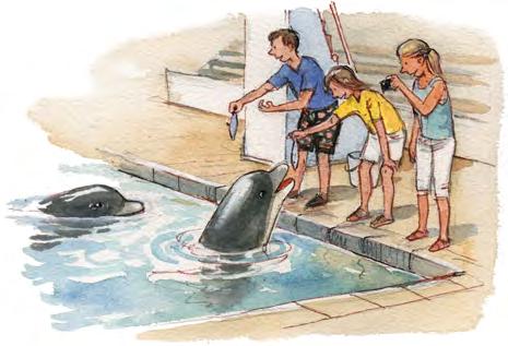 Simon, Amy och Maja får mata delfinerna. (1/1/0) De har 27 fiskar att ge dem.