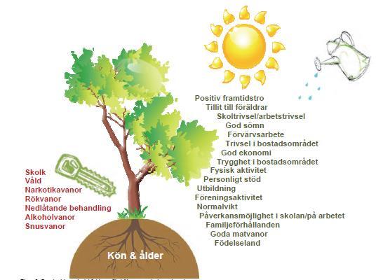 Barn och unga Behörighet % till gymnasiet 2015/16 Flickor Pojkar 100 80 60 Risk-