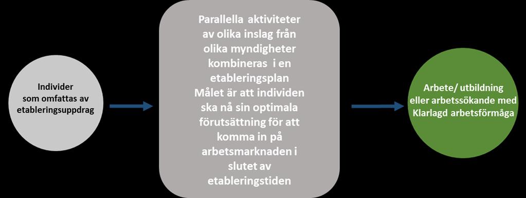 Syfte Syftet med projektet är att utveckla och förstärka möjligheter för individer inom etableringsuppdrag att utnyttja etableringstiden optimalt.