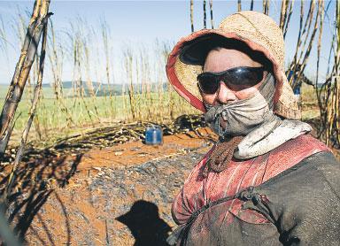 De slavar på sockerrörsfälten för att rädda miljön 18 juni 2007 På Brasiliens sockerplantager pågår skörden av sockerrör för att framställa