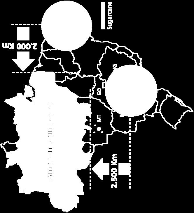 Brasiliens odlingsbara land 87% av