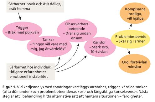 Hjälp vid självskadebeteende Händelsekedja Hög risk för fortsatt självskadebeteende, annan psykisk ohälsa och suicid om personen inte får hjälp. Identifiera risk- och skyddsfaktorer.