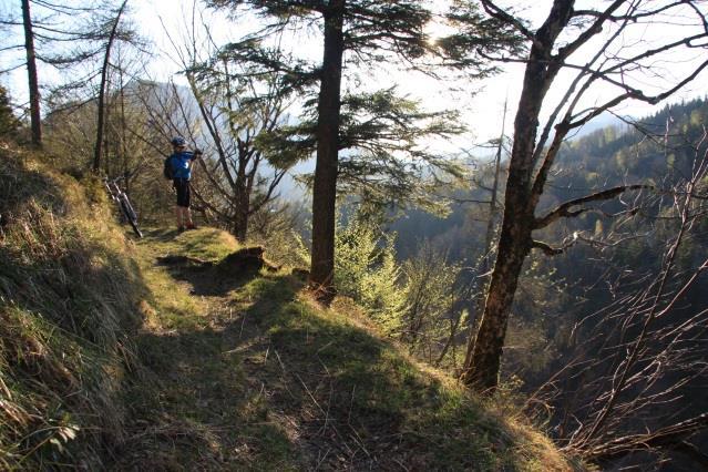 Från toppen av Gaisberg går det nerför längs en slingrande stig, genom tallskog, över utsträckta ängar och förbi små jordbruk.