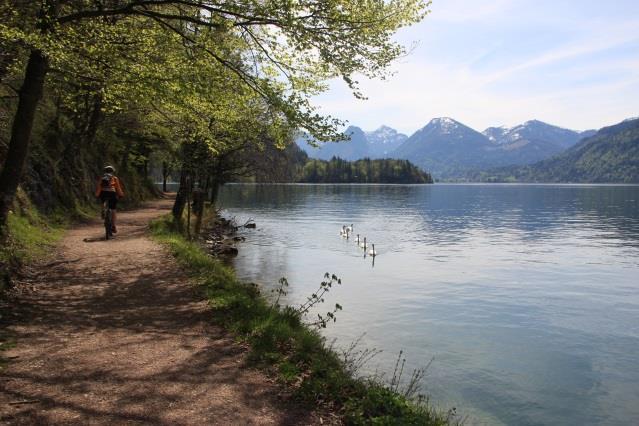 Via Maria, Salzburg St Wolfgang, 4 nätter 3(7) Stigen når dammluckor vid Vordersee och följer landsvägen fram till Faistenau.