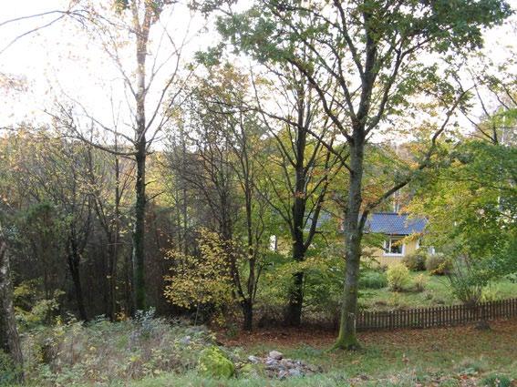 Tillhörande detaljplan för Bergsvik Befintliga och nya bostäder inom fastigheterna del av Ödsby 4:1 m fl, Munkedals kommun skötselplan FÖR naturmark