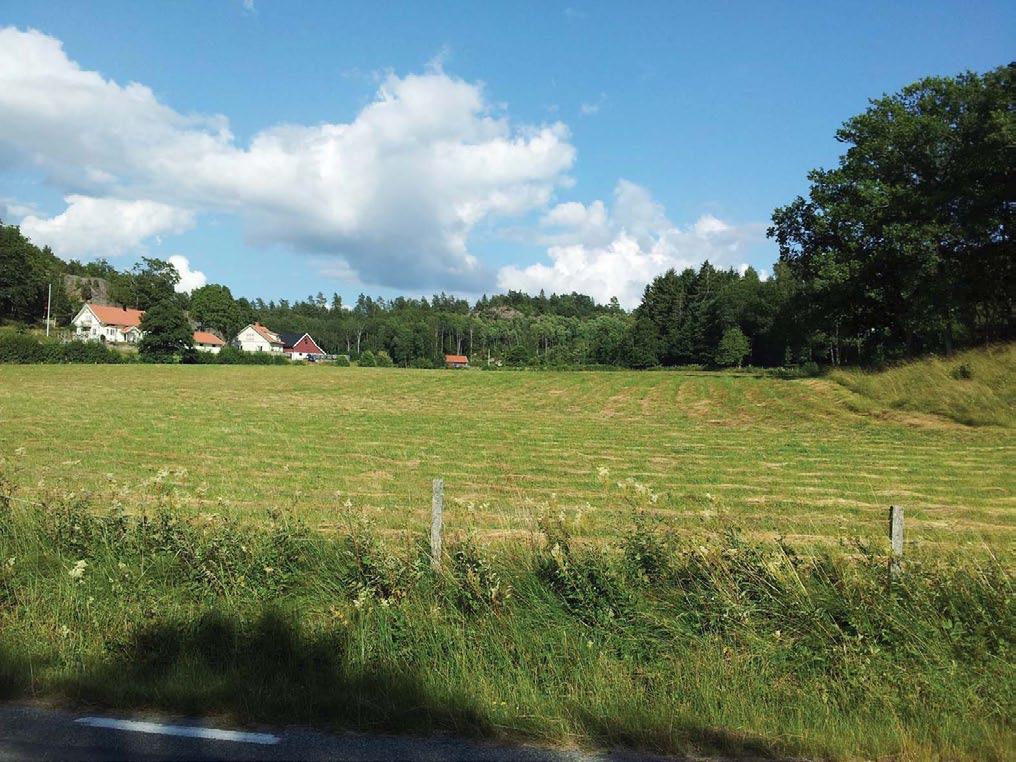 längs Gårviksvägen (norrut) 120726 Gårviksvägen österut Fotovy Sörgårdsdammen