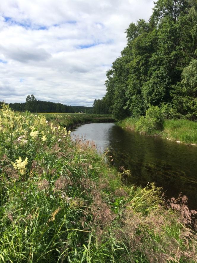 Detta projekt har finansierats av Länsstyrelsens Åtgärdsprogram för hotade arter i vatten och Bollnäs kommun. Syftet med inventeringen var att kartlägga beståndet av flodpärlmussla i Galvån.