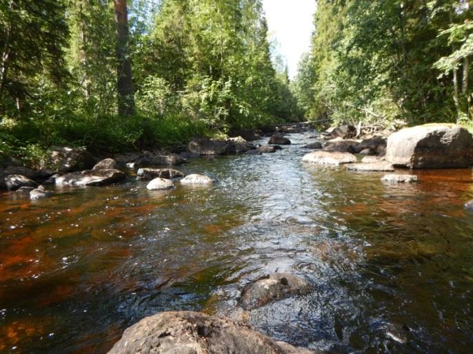 På lokalen hittades 0 levande musslor och 72 döda musslor. Det ger en medeltäthet på 0 levande musslor/m² och 0,783 döda musslor/m². Lokal 3. N6829045 E577215 (SWEREF99 TM).