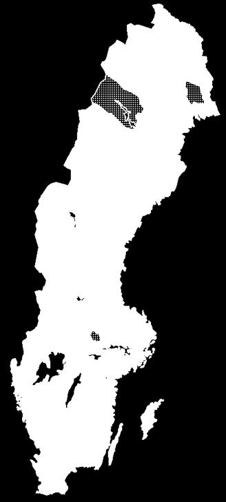 I figur 10 har Sveriges kommuner delats in i tre kategorier utifrån om man ökat, minskat eller hållit andelen högkvalitativa produkter i sitt exportvärde konstant under perioden 2002 2009.