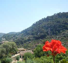 Mallorca - upplev det okända Mallorca Boka före 25 sep 500 kr rabatt En resa i behagligt tempo där du får upptäcka lite mer av det okända Mallorca tillsammans med Fredric Cederlund.
