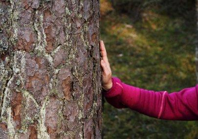 Stress, stillasittande och splittring gör att ohälsotalen stiger. Om aktiviteterna Aktiviteterna är 90 min om inget annat anges. Passar bäst för upp till 20 deltagare. Alla som kan gå kan vara med.