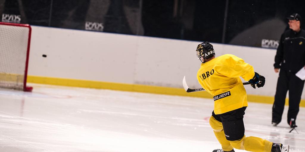 AIK Hockey utvecklar din förmåga att spela ishockey genom varierad isträning en gång i veckan och skapar samtidigt möjligheter för affärsrelationer.