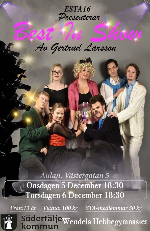 com Julkonsert Traditionell julkonsert med elever från Kulturskolan och Södertälje orkesterförening. Tid: Söndag 9 december kl 17.00.