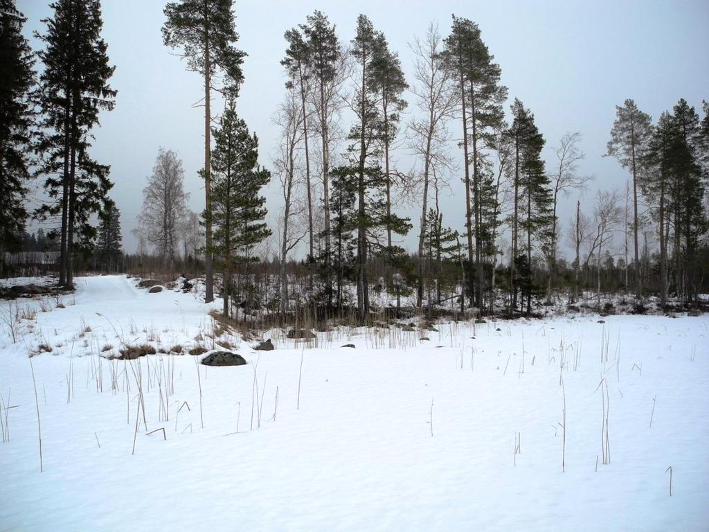 Överlappfors sjöar (Dal