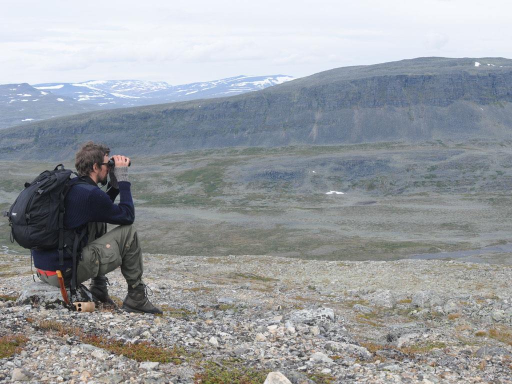 1. Bakgrund och målsättningar Inventering av: - Alla terrestra fågelarter - vadare -