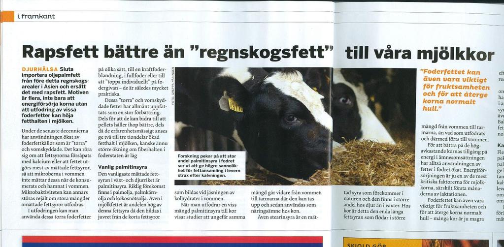 Info om foderfett Mjölk Special KUNSKAP FRÅN LRF MJÖLK 2014-12-19