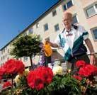 Hör av er till Botorget om ni vill hyra den! i Porten fortsätter. Vi tar bort, förädlar och skapar en snyggare ute miljö. Inne på gårdarna fortsätter vi också arbetet med att göra fint till sommaren.