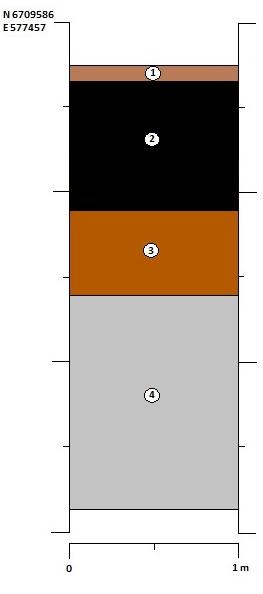 Sektion 5. Schakt 5 Sektion 6. Schakt 6 1. Matjord 2. Svart lager, rikligt med kol och masugnsslagg 3. Rostfärgad grusig sand, måttligt med sten 4.